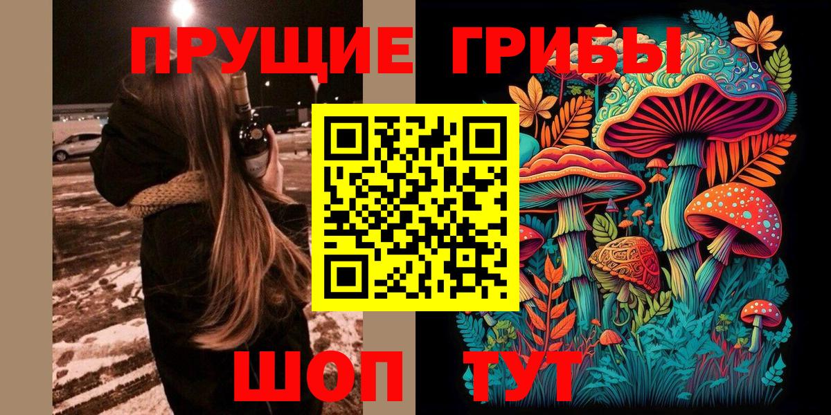 Галлюциногенные грибы Psilocybe Партизанск