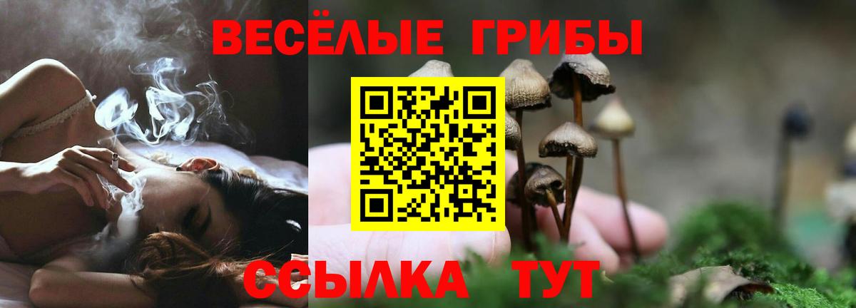 Галлюциногенные грибы прущие грибы  Галлюциногенные грибы GOLDEN TEACHER  Вход с VPN  Партизанск 